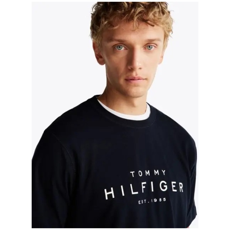 TOMMY HILFIGER Big rwb hilfiger tee